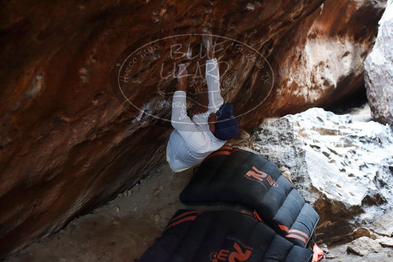 Bouldering in Hueco Tanks on 01/18/2019 with Blue Lizard Climbing and Yoga
Filename: SRM_20190118_1601140.jpg
Aperture: f/2.5
Shutter Speed: 1/125
Body: Canon EOS-1D Mark II
Lens: Canon EF 50mm f/1.8 II