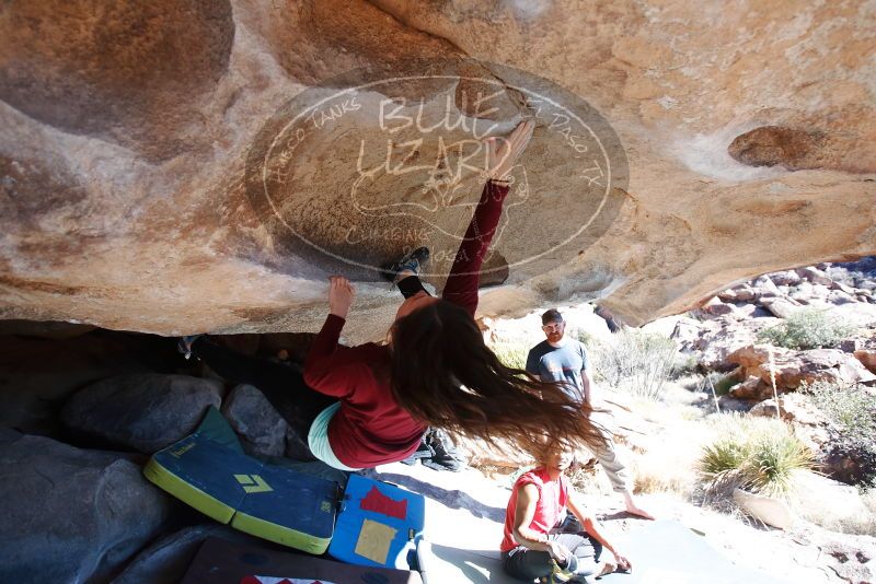 Bouldering in Hueco Tanks on 01/19/2019 with Blue Lizard Climbing and Yoga

Filename: SRM_20190119_1218190.jpg
Aperture: f/3.5
Shutter Speed: 1/1000
Body: Canon EOS-1D Mark II
Lens: Canon EF 16-35mm f/2.8 L