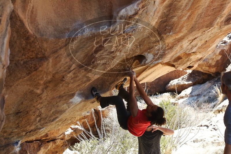 Bouldering in Hueco Tanks on 01/19/2019 with Blue Lizard Climbing and Yoga
Filename: SRM_20190119_1423550.jpg
Aperture: f/4.0
Shutter Speed: 1/500
Body: Canon EOS-1D Mark II
Lens: Canon EF 50mm f/1.8 II