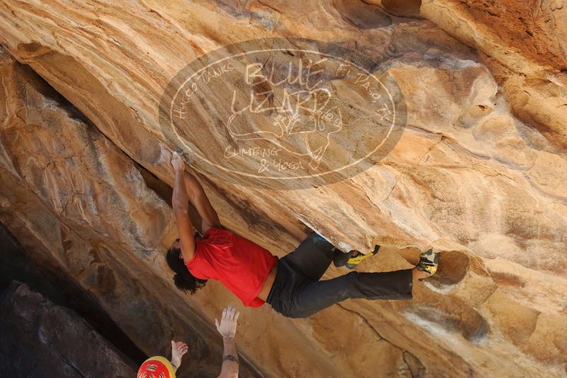 Bouldering in Hueco Tanks on 01/19/2019 with Blue Lizard Climbing and Yoga

Filename: SRM_20190119_1509471.jpg
Aperture: f/4.0
Shutter Speed: 1/400
Body: Canon EOS-1D Mark II
Lens: Canon EF 50mm f/1.8 II