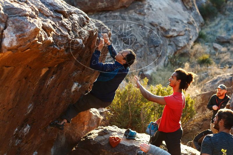 Bouldering in Hueco Tanks on 01/19/2019 with Blue Lizard Climbing and Yoga
Filename: SRM_20190119_1808030.jpg
Aperture: f/4.0
Shutter Speed: 1/250
Body: Canon EOS-1D Mark II
Lens: Canon EF 50mm f/1.8 II