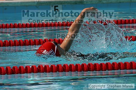 

Filename: img_8510_std.jpg
Aperture: f/9.0
Shutter Speed: 1/1000
Body: Canon EOS DIGITAL REBEL
Lens: Canon EF 80-200mm f/2.8 L