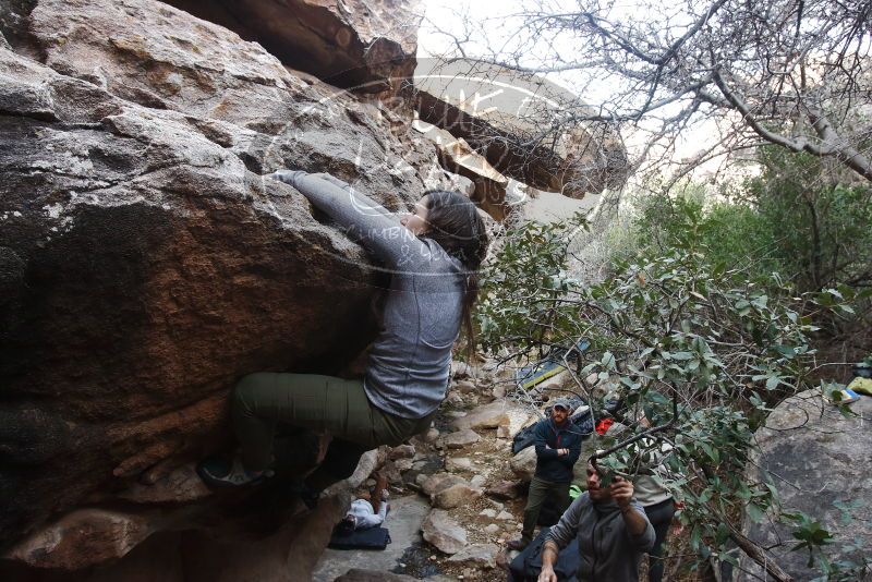 Bouldering in Hueco Tanks on 01/20/2019 with Blue Lizard Climbing and Yoga
Filename: SRM_20190120_1051550.jpg
Aperture: f/6.3
Shutter Speed: 1/160
Body: Canon EOS-1D Mark II
Lens: Canon EF 16-35mm f/2.8 L
