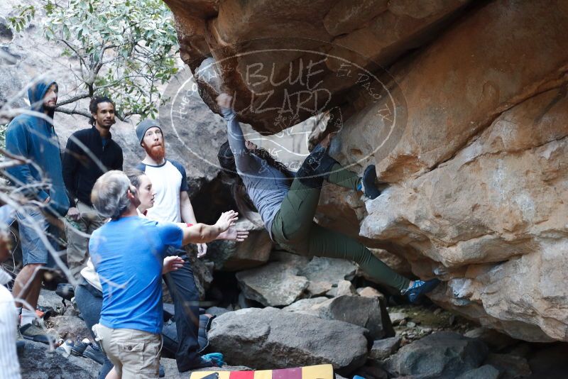 Bouldering in Hueco Tanks on 01/20/2019 with Blue Lizard Climbing and Yoga

Filename: SRM_20190120_1104160.jpg
Aperture: f/3.2
Shutter Speed: 1/250
Body: Canon EOS-1D Mark II
Lens: Canon EF 50mm f/1.8 II