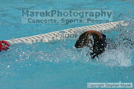 

Filename: img_8511_std.jpg
Aperture: f/9.0
Shutter Speed: 1/1000
Body: Canon EOS DIGITAL REBEL
Lens: Canon EF 80-200mm f/2.8 L