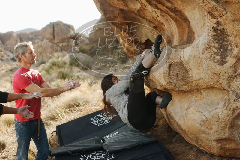 Bouldering in Hueco Tanks on 01/21/2019 with Blue Lizard Climbing and Yoga

Filename: SRM_20190121_1041270.jpg
Aperture: f/4.0
Shutter Speed: 1/320
Body: Canon EOS-1D Mark II
Lens: Canon EF 50mm f/1.8 II
