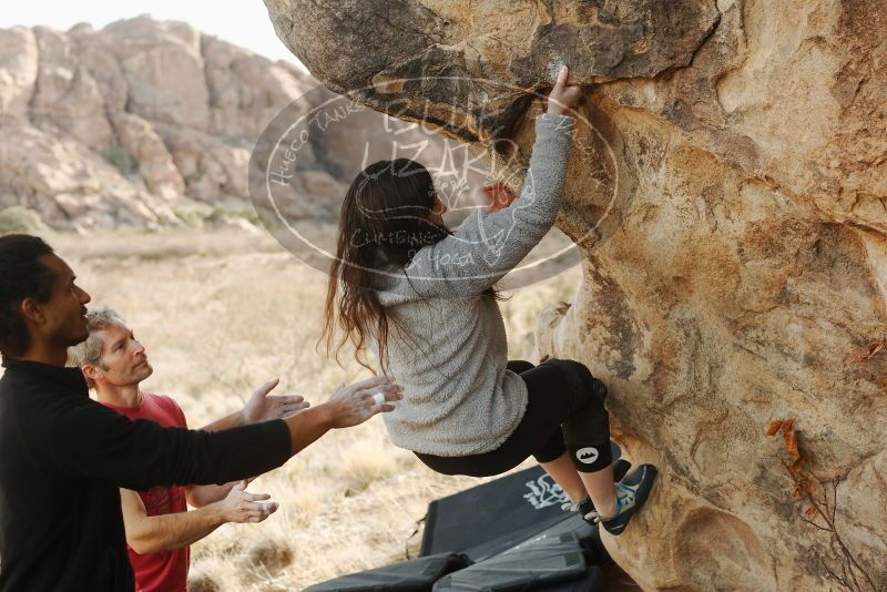 Bouldering in Hueco Tanks on 01/21/2019 with Blue Lizard Climbing and Yoga

Filename: SRM_20190121_1041520.jpg
Aperture: f/3.5
Shutter Speed: 1/320
Body: Canon EOS-1D Mark II
Lens: Canon EF 50mm f/1.8 II