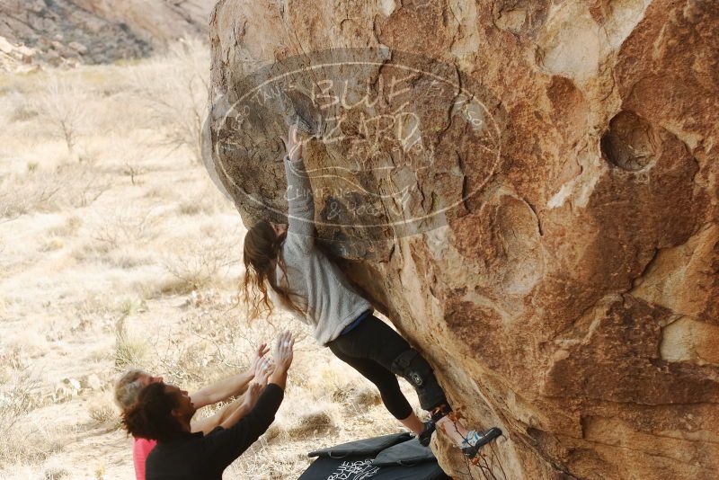 Bouldering in Hueco Tanks on 01/21/2019 with Blue Lizard Climbing and Yoga

Filename: SRM_20190121_1042570.jpg
Aperture: f/3.5
Shutter Speed: 1/320
Body: Canon EOS-1D Mark II
Lens: Canon EF 50mm f/1.8 II