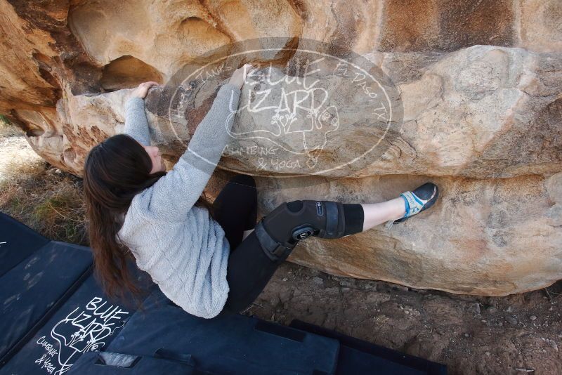 Bouldering in Hueco Tanks on 01/21/2019 with Blue Lizard Climbing and Yoga
Filename: SRM_20190121_1104040.jpg
Aperture: f/6.3
Shutter Speed: 1/250
Body: Canon EOS-1D Mark II
Lens: Canon EF 16-35mm f/2.8 L