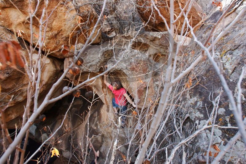 Bouldering in Hueco Tanks on 01/21/2019 with Blue Lizard Climbing and Yoga
Filename: SRM_20190121_1232060.jpg
Aperture: f/5.6
Shutter Speed: 1/250
Body: Canon EOS-1D Mark II
Lens: Canon EF 16-35mm f/2.8 L