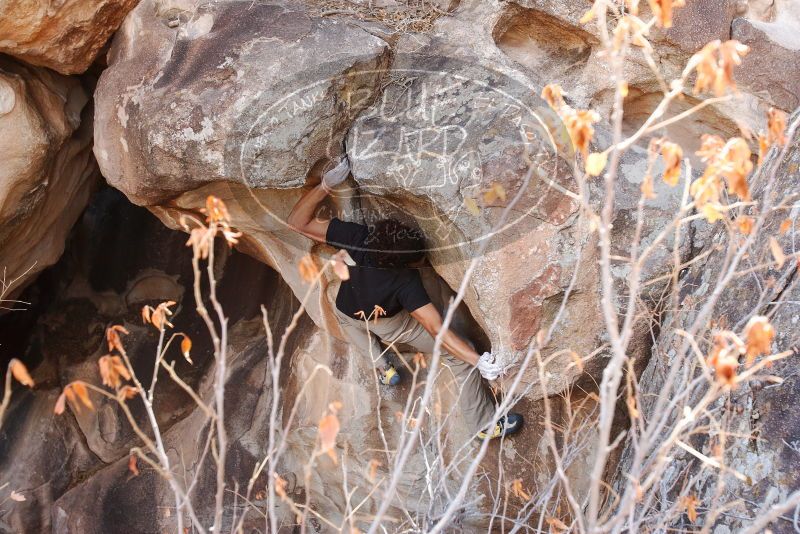 Bouldering in Hueco Tanks on 01/21/2019 with Blue Lizard Climbing and Yoga
Filename: SRM_20190121_1236270.jpg
Aperture: f/5.0
Shutter Speed: 1/250
Body: Canon EOS-1D Mark II
Lens: Canon EF 16-35mm f/2.8 L