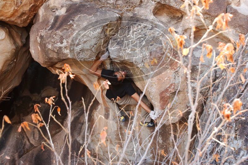 Bouldering in Hueco Tanks on 01/21/2019 with Blue Lizard Climbing and Yoga
Filename: SRM_20190121_1236291.jpg
Aperture: f/5.6
Shutter Speed: 1/250
Body: Canon EOS-1D Mark II
Lens: Canon EF 16-35mm f/2.8 L