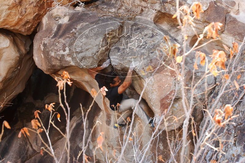 Bouldering in Hueco Tanks on 01/21/2019 with Blue Lizard Climbing and Yoga
Filename: SRM_20190121_1236360.jpg
Aperture: f/5.6
Shutter Speed: 1/250
Body: Canon EOS-1D Mark II
Lens: Canon EF 16-35mm f/2.8 L