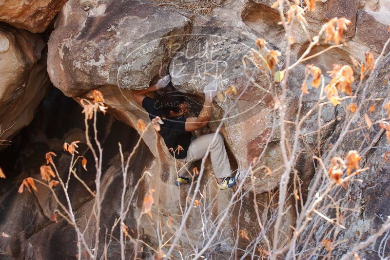 Bouldering in Hueco Tanks on 01/21/2019 with Blue Lizard Climbing and Yoga
Filename: SRM_20190121_1236450.jpg
Aperture: f/5.6
Shutter Speed: 1/250
Body: Canon EOS-1D Mark II
Lens: Canon EF 16-35mm f/2.8 L