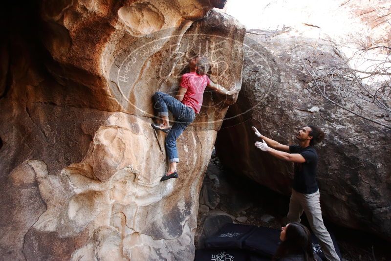 Bouldering in Hueco Tanks on 01/21/2019 with Blue Lizard Climbing and Yoga
Filename: SRM_20190121_1238481.jpg
Aperture: f/4.5
Shutter Speed: 1/200
Body: Canon EOS-1D Mark II
Lens: Canon EF 16-35mm f/2.8 L