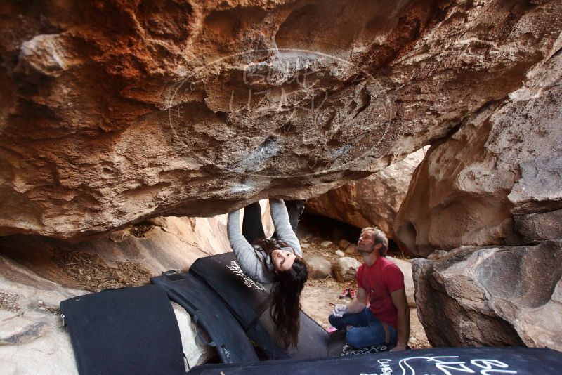 Bouldering in Hueco Tanks on 01/21/2019 with Blue Lizard Climbing and Yoga
Filename: SRM_20190121_1304380.jpg
Aperture: f/3.5
Shutter Speed: 1/200
Body: Canon EOS-1D Mark II
Lens: Canon EF 16-35mm f/2.8 L