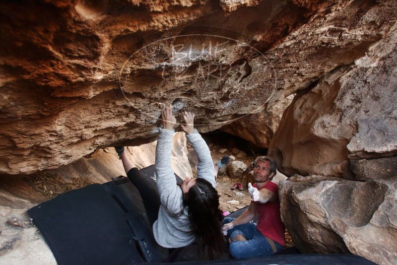 Bouldering in Hueco Tanks on 01/21/2019 with Blue Lizard Climbing and Yoga

Filename: SRM_20190121_1307410.jpg
Aperture: f/3.5
Shutter Speed: 1/200
Body: Canon EOS-1D Mark II
Lens: Canon EF 16-35mm f/2.8 L