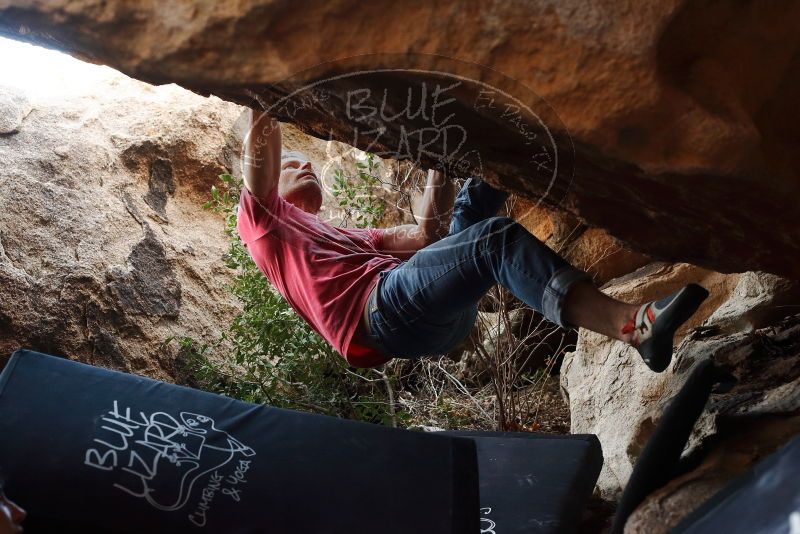 Bouldering in Hueco Tanks on 01/21/2019 with Blue Lizard Climbing and Yoga

Filename: SRM_20190121_1320331.jpg
Aperture: f/4.5
Shutter Speed: 1/250
Body: Canon EOS-1D Mark II
Lens: Canon EF 50mm f/1.8 II