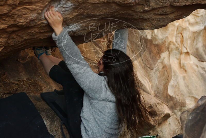 Bouldering in Hueco Tanks on 01/21/2019 with Blue Lizard Climbing and Yoga

Filename: SRM_20190121_1349240.jpg
Aperture: f/4.0
Shutter Speed: 1/250
Body: Canon EOS-1D Mark II
Lens: Canon EF 50mm f/1.8 II