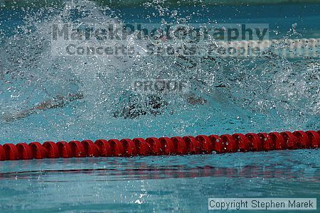 

Filename: img_8635_std.jpg
Aperture: f/8.0
Shutter Speed: 1/2000
Body: Canon EOS DIGITAL REBEL
Lens: Canon EF 80-200mm f/2.8 L