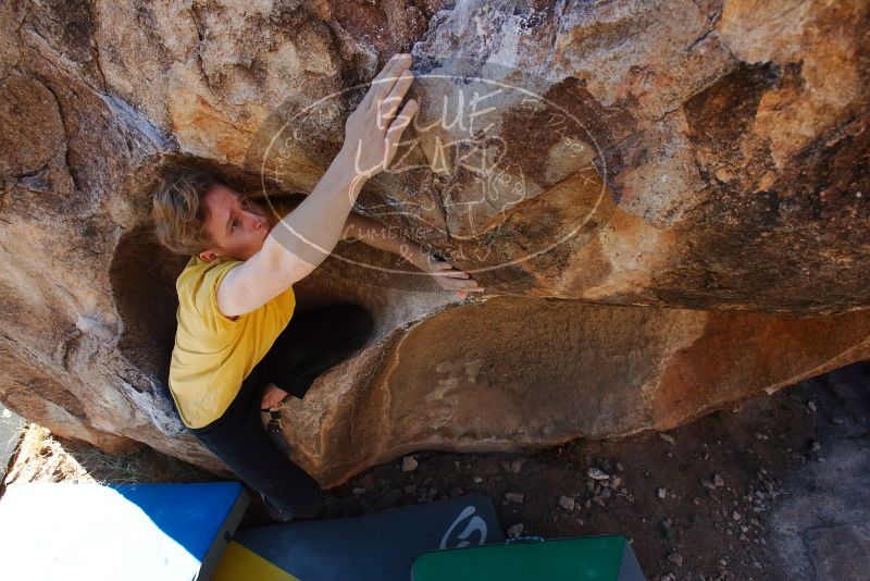 Bouldering in Hueco Tanks on 01/26/2019 with Blue Lizard Climbing and Yoga
Filename: SRM_20190126_1109341.jpg
Aperture: f/6.3
Shutter Speed: 1/250
Body: Canon EOS-1D Mark II
Lens: Canon EF 16-35mm f/2.8 L