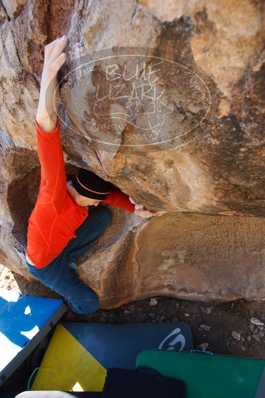 Bouldering in Hueco Tanks on 01/26/2019 with Blue Lizard Climbing and Yoga

Filename: SRM_20190126_1112100.jpg
Aperture: f/5.0
Shutter Speed: 1/250
Body: Canon EOS-1D Mark II
Lens: Canon EF 16-35mm f/2.8 L