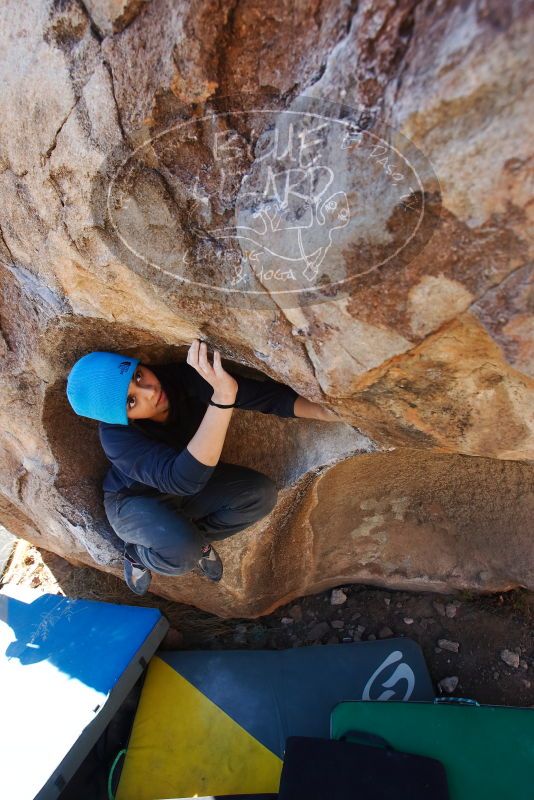 Bouldering in Hueco Tanks on 01/26/2019 with Blue Lizard Climbing and Yoga

Filename: SRM_20190126_1112480.jpg
Aperture: f/5.6
Shutter Speed: 1/250
Body: Canon EOS-1D Mark II
Lens: Canon EF 16-35mm f/2.8 L