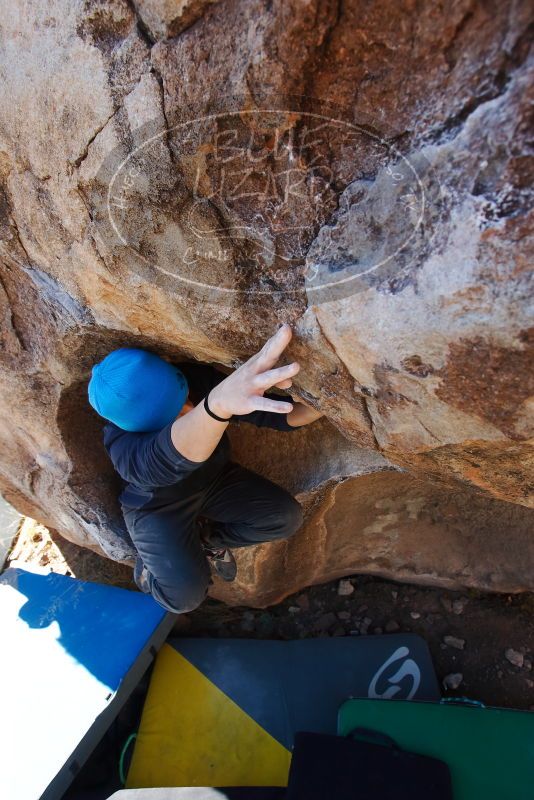 Bouldering in Hueco Tanks on 01/26/2019 with Blue Lizard Climbing and Yoga
Filename: SRM_20190126_1113000.jpg
Aperture: f/5.6
Shutter Speed: 1/250
Body: Canon EOS-1D Mark II
Lens: Canon EF 16-35mm f/2.8 L
