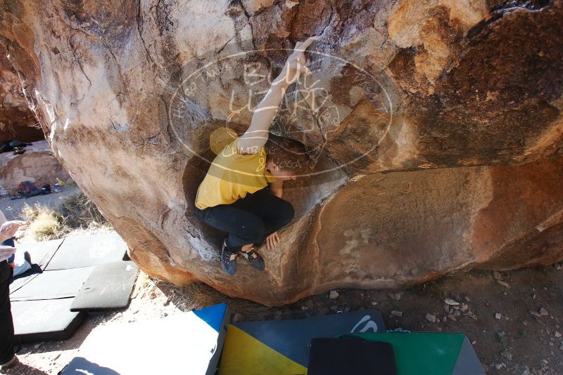 Bouldering in Hueco Tanks on 01/26/2019 with Blue Lizard Climbing and Yoga
Filename: SRM_20190126_1115490.jpg
Aperture: f/6.3
Shutter Speed: 1/250
Body: Canon EOS-1D Mark II
Lens: Canon EF 16-35mm f/2.8 L