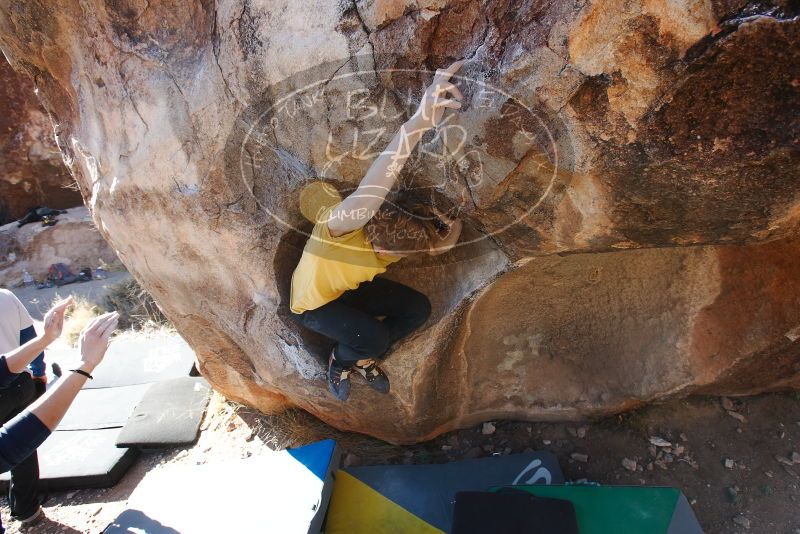 Bouldering in Hueco Tanks on 01/26/2019 with Blue Lizard Climbing and Yoga

Filename: SRM_20190126_1115500.jpg
Aperture: f/6.3
Shutter Speed: 1/250
Body: Canon EOS-1D Mark II
Lens: Canon EF 16-35mm f/2.8 L