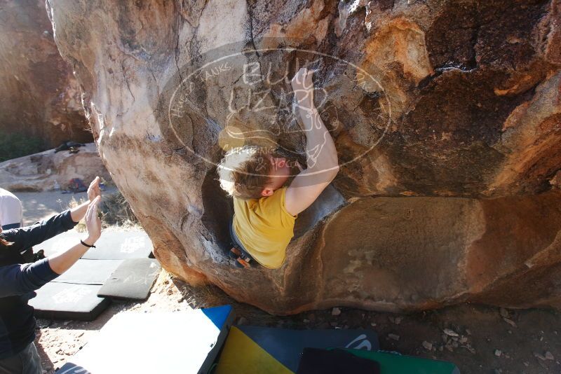 Bouldering in Hueco Tanks on 01/26/2019 with Blue Lizard Climbing and Yoga
Filename: SRM_20190126_1115560.jpg
Aperture: f/7.1
Shutter Speed: 1/250
Body: Canon EOS-1D Mark II
Lens: Canon EF 16-35mm f/2.8 L