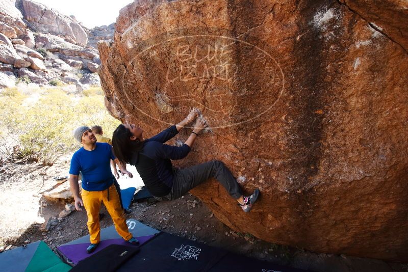 Bouldering in Hueco Tanks on 01/26/2019 with Blue Lizard Climbing and Yoga

Filename: SRM_20190126_1124130.jpg
Aperture: f/5.0
Shutter Speed: 1/250
Body: Canon EOS-1D Mark II
Lens: Canon EF 16-35mm f/2.8 L
