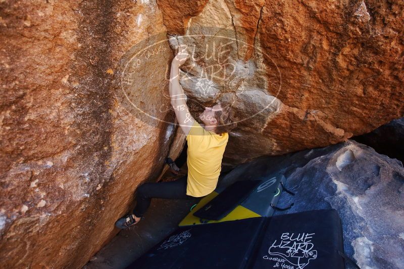 Bouldering in Hueco Tanks on 01/26/2019 with Blue Lizard Climbing and Yoga

Filename: SRM_20190126_1135010.jpg
Aperture: f/3.5
Shutter Speed: 1/250
Body: Canon EOS-1D Mark II
Lens: Canon EF 16-35mm f/2.8 L