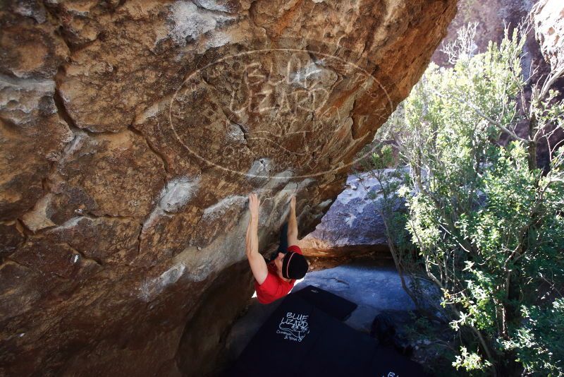Bouldering in Hueco Tanks on 01/26/2019 with Blue Lizard Climbing and Yoga
Filename: SRM_20190126_1207330.jpg
Aperture: f/4.5
Shutter Speed: 1/250
Body: Canon EOS-1D Mark II
Lens: Canon EF 16-35mm f/2.8 L
