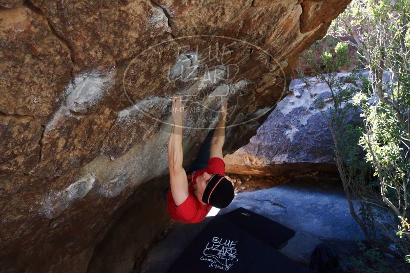 Bouldering in Hueco Tanks on 01/26/2019 with Blue Lizard Climbing and Yoga
Filename: SRM_20190126_1207410.jpg
Aperture: f/4.5
Shutter Speed: 1/250
Body: Canon EOS-1D Mark II
Lens: Canon EF 16-35mm f/2.8 L