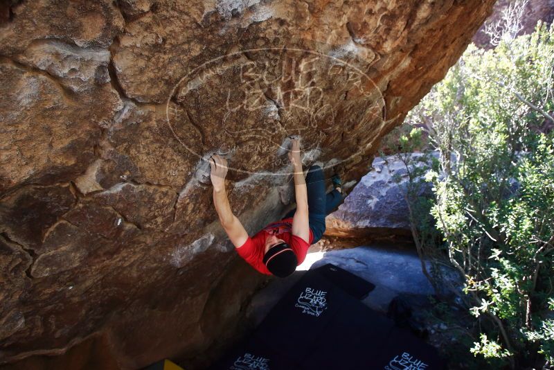 Bouldering in Hueco Tanks on 01/26/2019 with Blue Lizard Climbing and Yoga

Filename: SRM_20190126_1207480.jpg
Aperture: f/5.0
Shutter Speed: 1/250
Body: Canon EOS-1D Mark II
Lens: Canon EF 16-35mm f/2.8 L
