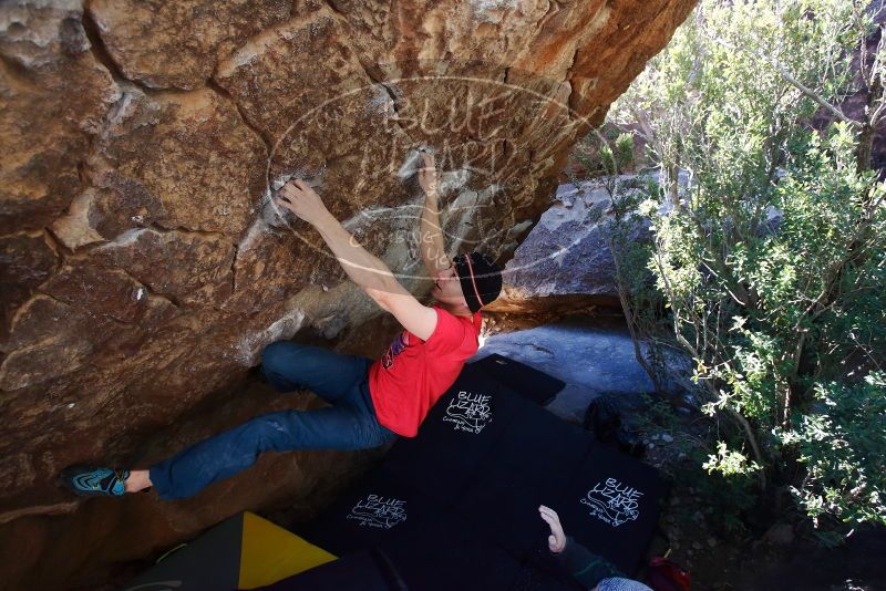 Bouldering in Hueco Tanks on 01/26/2019 with Blue Lizard Climbing and Yoga

Filename: SRM_20190126_1208020.jpg
Aperture: f/4.5
Shutter Speed: 1/250
Body: Canon EOS-1D Mark II
Lens: Canon EF 16-35mm f/2.8 L