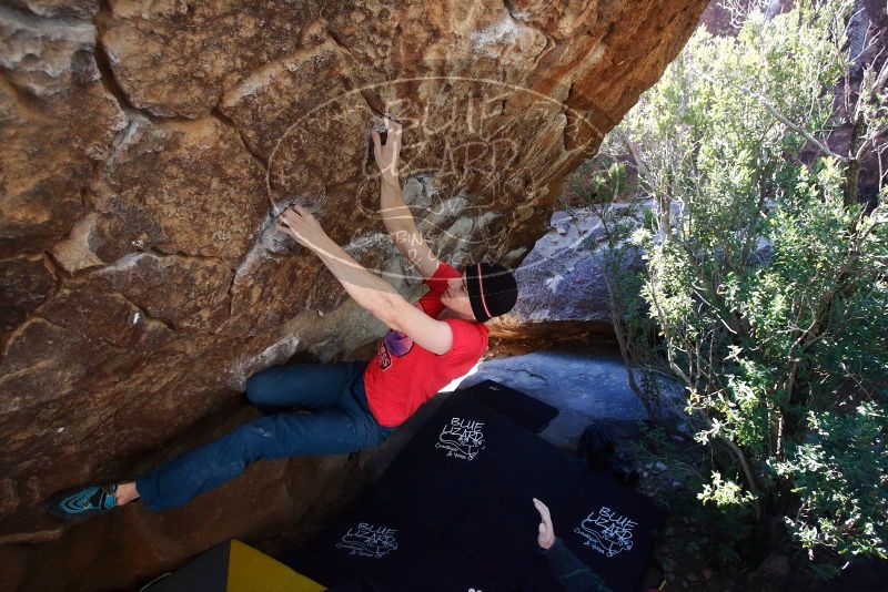 Bouldering in Hueco Tanks on 01/26/2019 with Blue Lizard Climbing and Yoga

Filename: SRM_20190126_1208040.jpg
Aperture: f/4.5
Shutter Speed: 1/250
Body: Canon EOS-1D Mark II
Lens: Canon EF 16-35mm f/2.8 L