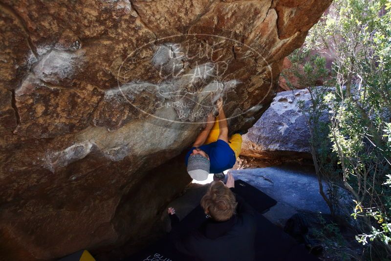 Bouldering in Hueco Tanks on 01/26/2019 with Blue Lizard Climbing and Yoga
Filename: SRM_20190126_1218230.jpg
Aperture: f/4.5
Shutter Speed: 1/250
Body: Canon EOS-1D Mark II
Lens: Canon EF 16-35mm f/2.8 L