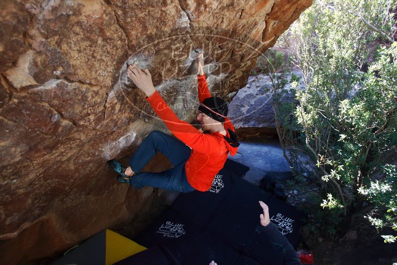 Bouldering in Hueco Tanks on 01/26/2019 with Blue Lizard Climbing and Yoga

Filename: SRM_20190126_1221110.jpg
Aperture: f/4.0
Shutter Speed: 1/250
Body: Canon EOS-1D Mark II
Lens: Canon EF 16-35mm f/2.8 L