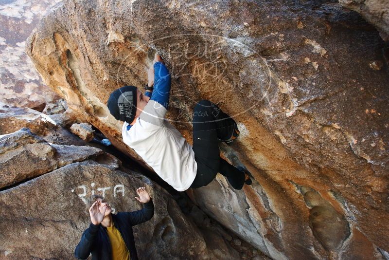 Bouldering in Hueco Tanks on 01/26/2019 with Blue Lizard Climbing and Yoga
Filename: SRM_20190126_1235420.jpg
Aperture: f/5.0
Shutter Speed: 1/200
Body: Canon EOS-1D Mark II
Lens: Canon EF 16-35mm f/2.8 L