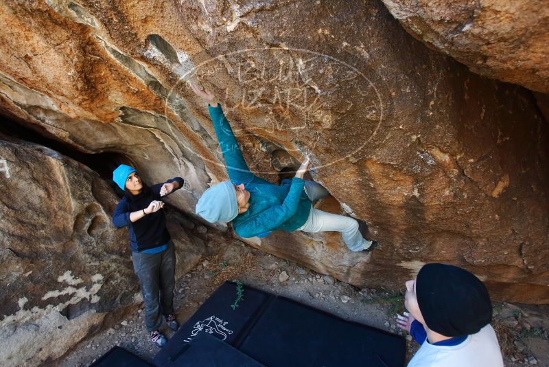 Bouldering in Hueco Tanks on 01/26/2019 with Blue Lizard Climbing and Yoga

Filename: SRM_20190126_1245370.jpg
Aperture: f/4.0
Shutter Speed: 1/250
Body: Canon EOS-1D Mark II
Lens: Canon EF 16-35mm f/2.8 L