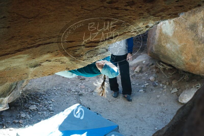 Bouldering in Hueco Tanks on 01/26/2019 with Blue Lizard Climbing and Yoga

Filename: SRM_20190126_1334280.jpg
Aperture: f/4.0
Shutter Speed: 1/250
Body: Canon EOS-1D Mark II
Lens: Canon EF 50mm f/1.8 II