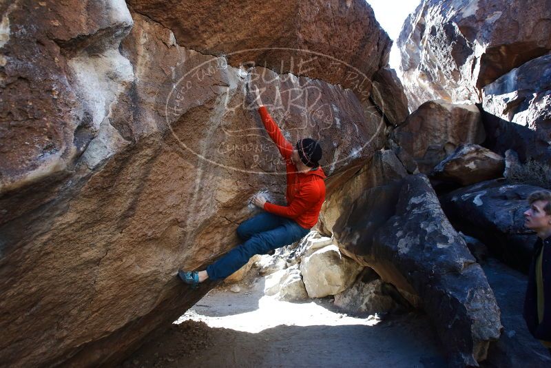 Bouldering in Hueco Tanks on 01/26/2019 with Blue Lizard Climbing and Yoga
Filename: SRM_20190126_1435280.jpg
Aperture: f/5.0
Shutter Speed: 1/250
Body: Canon EOS-1D Mark II
Lens: Canon EF 16-35mm f/2.8 L