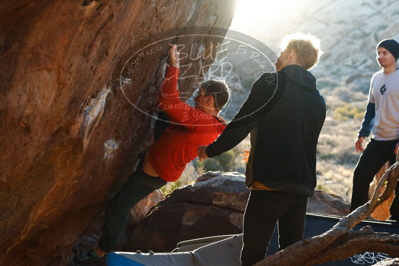 Bouldering in Hueco Tanks on 01/26/2019 with Blue Lizard Climbing and Yoga

Filename: SRM_20190126_1805110.jpg
Aperture: f/4.0
Shutter Speed: 1/250
Body: Canon EOS-1D Mark II
Lens: Canon EF 50mm f/1.8 II