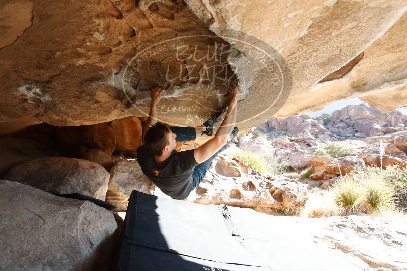 Bouldering in Hueco Tanks on 01/27/2019 with Blue Lizard Climbing and Yoga

Filename: SRM_20190127_1019020.jpg
Aperture: f/5.0
Shutter Speed: 1/250
Body: Canon EOS-1D Mark II
Lens: Canon EF 16-35mm f/2.8 L