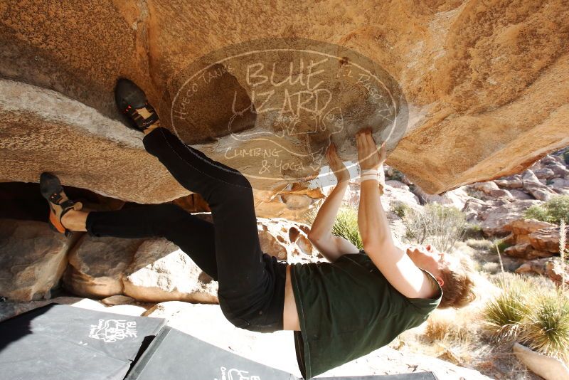 Bouldering in Hueco Tanks on 01/27/2019 with Blue Lizard Climbing and Yoga

Filename: SRM_20190127_1029380.jpg
Aperture: f/9.0
Shutter Speed: 1/250
Body: Canon EOS-1D Mark II
Lens: Canon EF 16-35mm f/2.8 L
