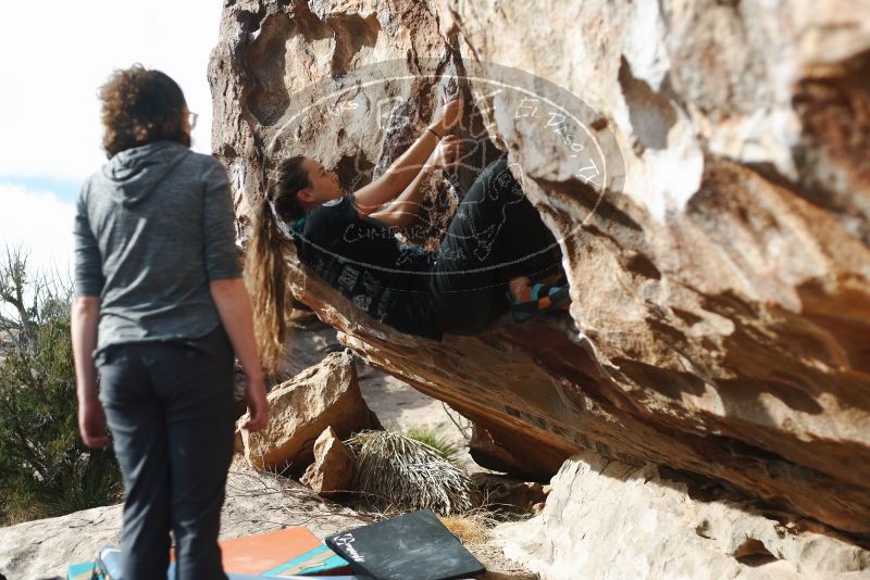 Bouldering in Hueco Tanks on 02/03/2019 with Blue Lizard Climbing and Yoga
Filename: SRM_20190203_1059010.jpg
Aperture: f/2.8
Shutter Speed: 1/2500
Body: Canon EOS-1D Mark II
Lens: Canon EF 50mm f/1.8 II
