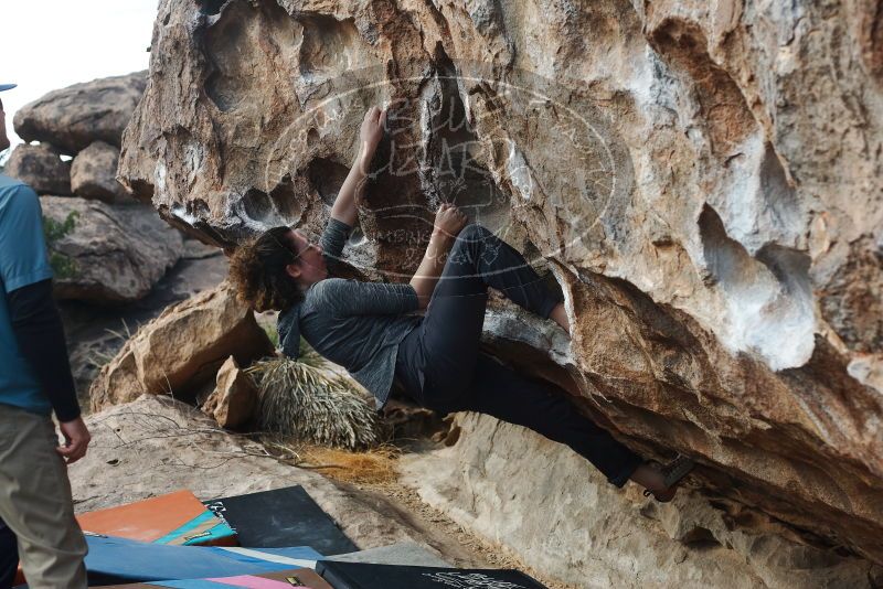 Bouldering in Hueco Tanks on 02/03/2019 with Blue Lizard Climbing and Yoga
Filename: SRM_20190203_1102280.jpg
Aperture: f/4.0
Shutter Speed: 1/800
Body: Canon EOS-1D Mark II
Lens: Canon EF 50mm f/1.8 II