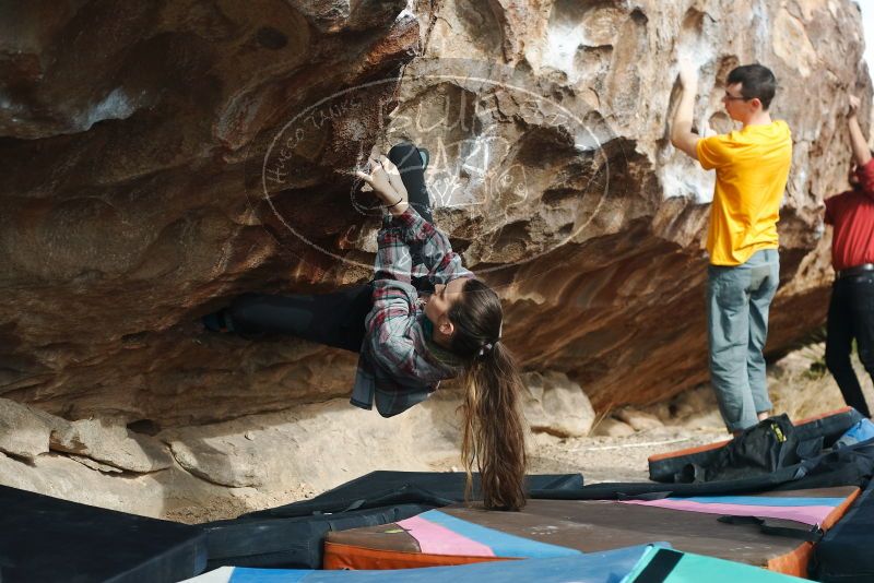 Bouldering in Hueco Tanks on 02/03/2019 with Blue Lizard Climbing and Yoga
Filename: SRM_20190203_1117210.jpg
Aperture: f/4.0
Shutter Speed: 1/320
Body: Canon EOS-1D Mark II
Lens: Canon EF 50mm f/1.8 II